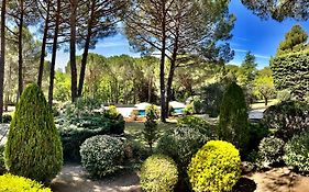 Provence mon amour